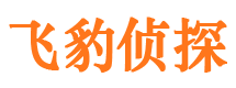 孟连外遇调查取证